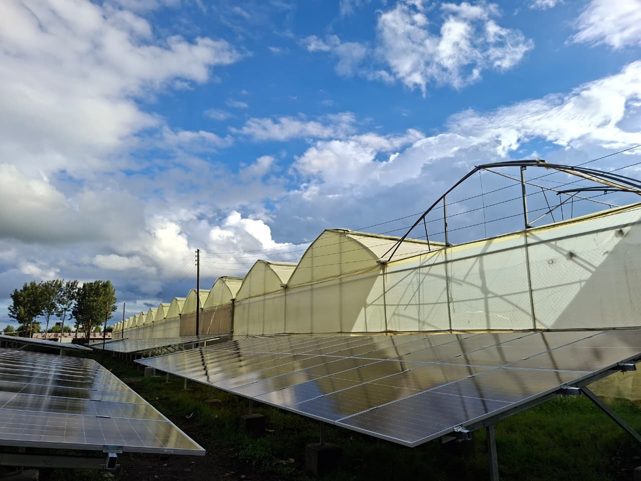 321kWp Grid-Tied image 151